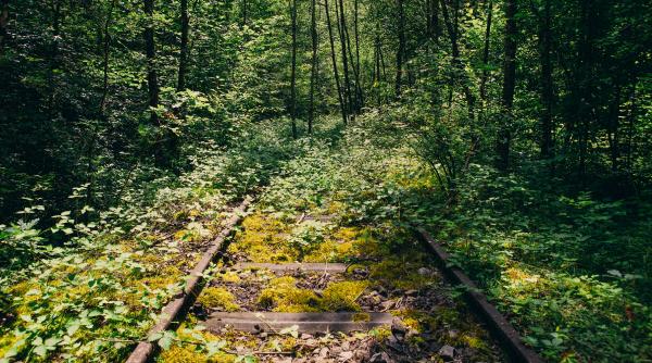 povestea localitatii din romania cu halta si cale ferata unde trenul nu a ajuns niciodata pacat de investitie