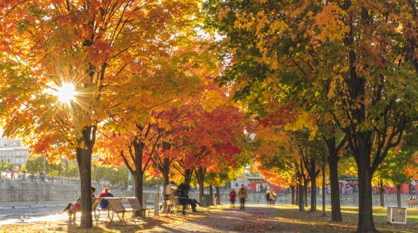 cum va fi vremea in octombrie prognoza meteo pentru urmatoarele patru saptamani