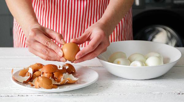 crescatorii de pasari din romania cer interzicerea oualor din ucraina o singura companie are gaini cat toti fermierii romani