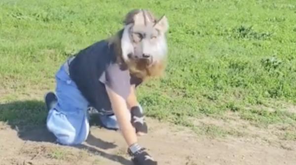 trendul socant de pe tiktok care ia amploare in romania adolescentii se comporta ca animalele cum explica psihologii