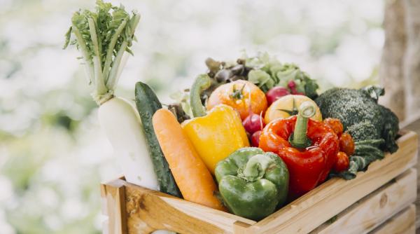 postul craciunului 2024 cat costa cosul minim cu legume si fructe pentru o zi de post