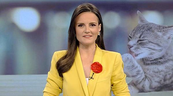 ce inseamna cuvantul ok si de unde provine