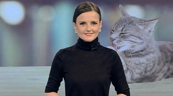 cum se scrie corect sendvis sandvici sau sandwich