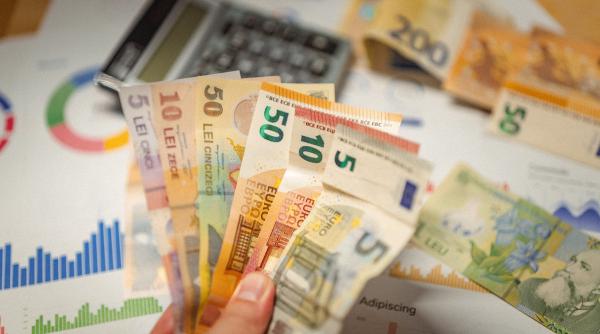 economisim in lei sau in euro avantaje si dezavantaje