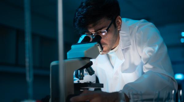 carnea cultivata in laborator si alimentele din ciuperci si micro alge vor ajunge in farfuriile romanilor in cel mult 20 de ani carnea cultivata in laborator si alimentele din ciuperci si micro alge vor ajunge in farfuriile romanilor in cel mult 20 de ani