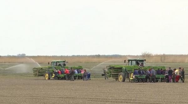 unul dintre cele mai ambitioase proiecte de irigatii din romania implementat la buzau sistemul inovator va genera economii unul dintre cele mai ambitioase proiecte de irigatii din romania implementat la buzau sistemul inovator va genera economii