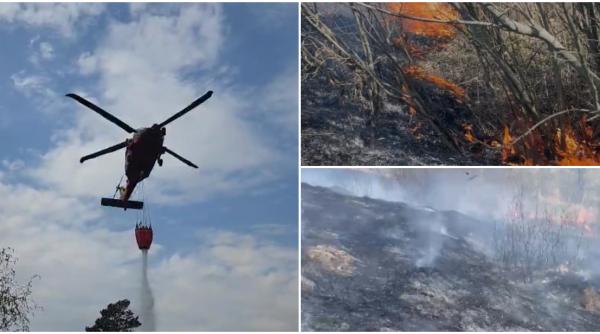 incendiile de vegetatie sunt greu de tinut sub control au ars zeci de hectare un elicopter black hawk participa la misiuni incendiile de vegetatie sunt greu de tinut sub control au ars zeci de hectare un elicopter black hawk participa la misiuni