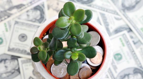feng shui 2025 unde pui simbolurile norocoase ca sa atragi iubire si bani feng shui 2025 unde pui simbolurile norocoase ca sa atragi iubire si bani