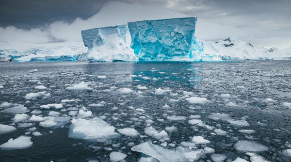 avertismentul oamenilor de stiinta nivelul marilor va creste in urmatorii ani si va provoca o migratie continentala catastrofala avertismentul oamenilor de stiinta nivelul marilor va creste in urmatorii ani si va provoca o migratie continentala catastrofala