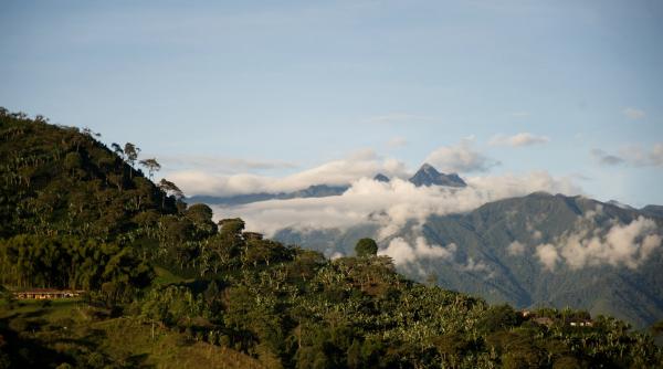 un adn ciudat si nemaiintalnit pe pamant a fost descoperit la 21 de schelete umane gasite in columbia un adn ciudat si nemaiintalnit pe pamant a fost descoperit la 21 de schelete umane gasite in columbia