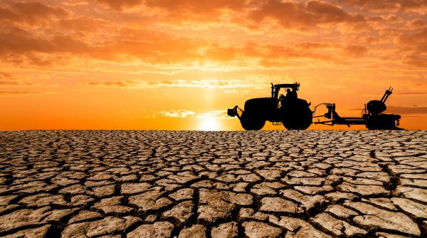 vremea extrema a devastat culturile din romania fermierii sunt disperati ne a nenorocit n am mai vazut asa ceva