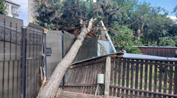 o rupere de nori a facut prapad in sighetu marmatiei case si strazi inundate copaci doborati de vant