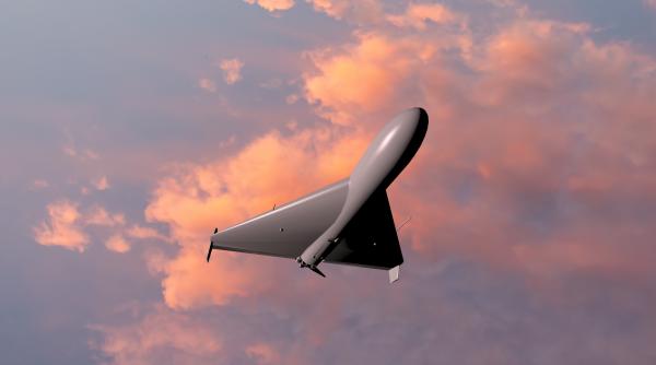 lituania cere nato sa i consolideze apararea antiaeriana nu trebuie sa fie doar responsabilitatea noastra noi aparam flancul estic