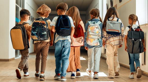 ce scoli gradinite si licee ar putea fi comasate incepand cu anul scolar 2025 2026 lista unitatilor care se reorganizeaza pe judete