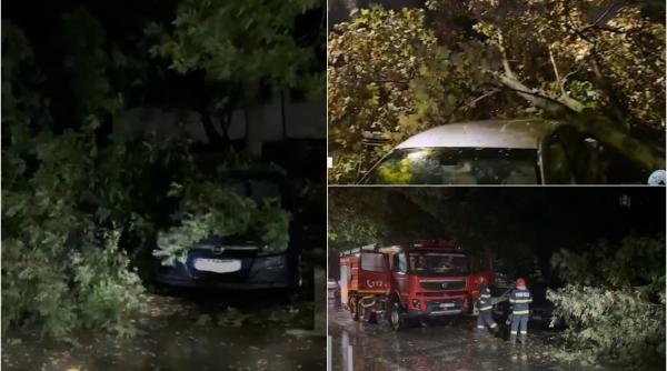 Vremea extremă face ravagii în Capitală: Zeci de copaci au fost doborâți de vântul puternic și au căzut pe mașini