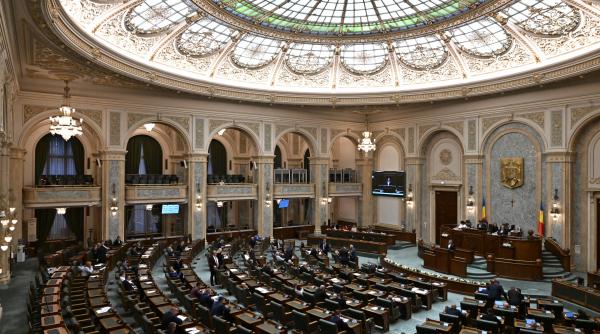 Legea majoratului online a fost adoptată de Senat. Accesul la servicii online, doar cu acord parental pentru minorii sub 16 ani