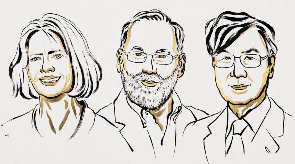 Nobel 2025: Mary E. Brunkow, Fred Ramsdell şi Shimon Sakaguchi au luat premiul pentru Medicină