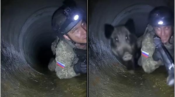 Un rus și un mistreț s-au întâlnit într-o conductă. Imagini virale cu soldatul care se sperie așa de tare încât scapă arma