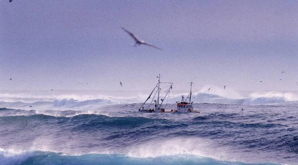 „Inima” climatică a Atlanticului de Nord bate neregulat. Europa riscă ierni mai reci și furtuni mai violente
