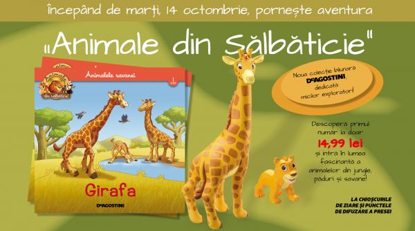 descopera lumea fascinanta a animalelor salbatice cu noua colectie deagostini