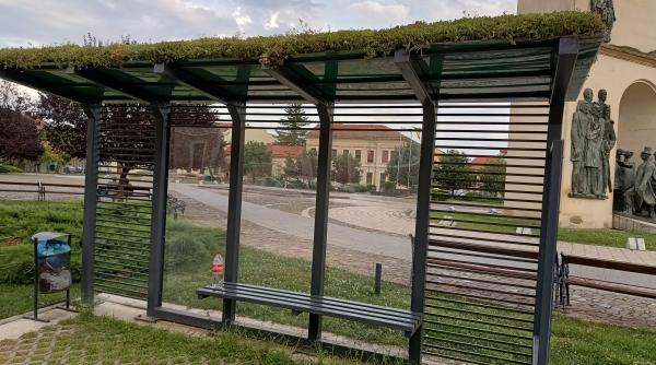 experimentul statiilor verzi din arad a fost distrus analizele confirma o mana criminala a otravit plantele