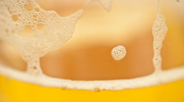 animalul care bea bere pentru sanatate in unele cazuri se recomanda chiar una pe zi