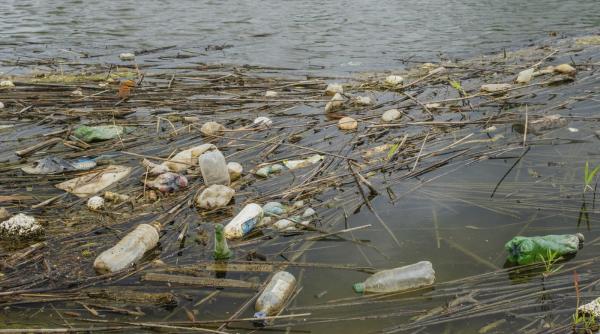 le monde deseuri pete de motorina mai putini pelicani coltul de paradis din delta dunarii distrus de razboiul din ucraina