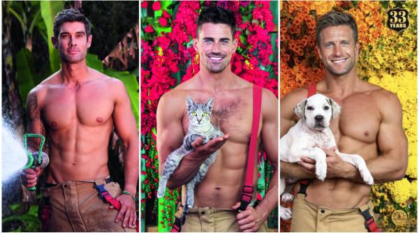 pompierii australieni si au dat jos din nou camasile si au pozat cu pisicute si catelusi in brate pentru o cauza nobila