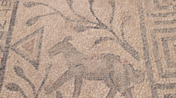 turcii au descoperit un mozaic crestin vechi de 1 500 de ani unde s ar fi nascut avraam arheologii au gasit acolo si trei morminte