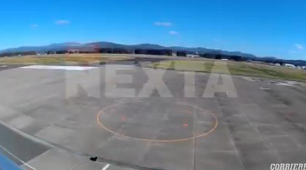 un urs a blocat un aeroport din japonia dupa ce a intrat pe pista chiar cand ateriza un avion