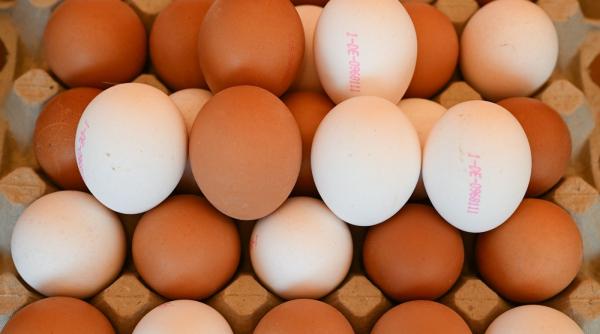 consiliul concurentei monitorizeaza atent piata oualor bogdan chiritoiu sa nu avem cresteri speculative de pret