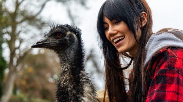 o cantareata a luat un somnifer intr o seara iar a doua zi a aflat ca si a comandat online o pasare emu acum ej e parte din familie