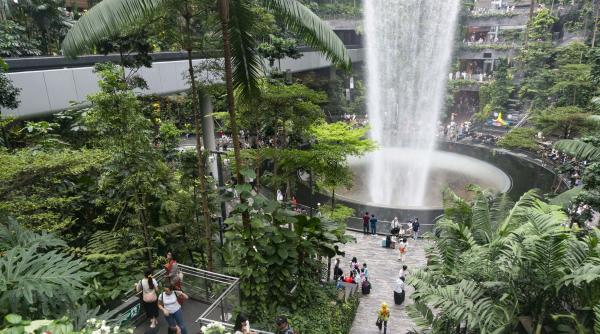 cea mai inalta cascada din lume este intr un aeroport cum arata minunea arhitecturala de 40 de metri numita vortexul ploii