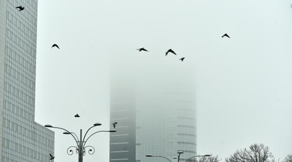 Avertizări nowcasting de la ANM. Este cod galben de ceață în jumătate de țară. Se circulă dificil pe autostrăzi, inclusiv A2 și A3