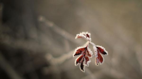 Decembrie începe cu vreme mai caldă decât cea specifică perioadei. Prognoza meteo până la Crăciun