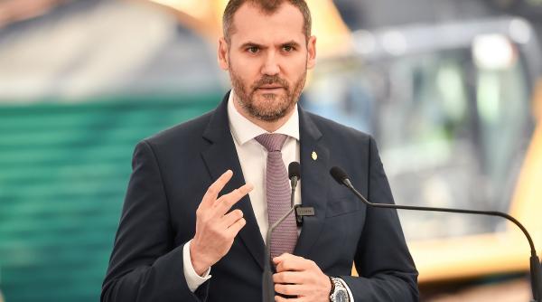 Administratorul public al Capitalei: Amenzi de 245.000 de lei, pentru tăieri ilegale de arbori pe Bd. Nicolae Grigorescu din Sectorul 3