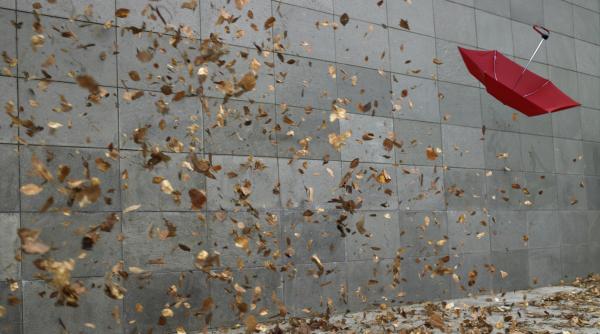 Cod galben de vânt puternic în mai multe judeţe din ţară. Rafalele de vânt vor atinge până la 110 kilometri pe oră