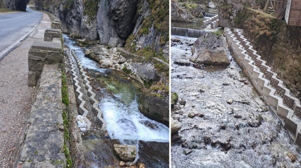 Peștii au acum scări pe râul Bicaz. Sistemul a fost testat și funcționează: „Speciile care nu sar ca păstrăvul pot să urce în amonte”