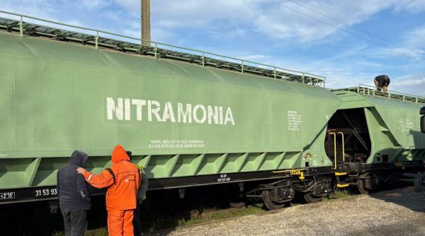Grupul Carmistin relansează transportul feroviar de cereale după trei decenii. "Am evitat o emisie de 2.542 kg dioxid de carbon"