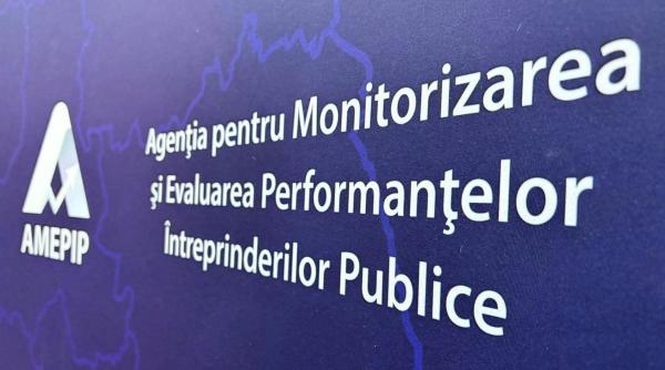 Mega-agenția AMEPIP, care monitorizează companiile de stat, are o nouă conducere. Cine este Anișoara Ulcelușe