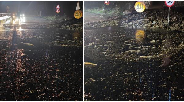 Căderi de pietre pe Valea Oltului: traficul se desfăşoară alternativ la Boiţa, pe DN 7