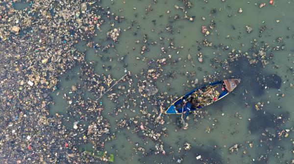 Marea Insulă de Gunoi din Pacific este acum atât de mare, încât zeci de specii o numesc "acasă". Ce au descoperit cercetătorii
