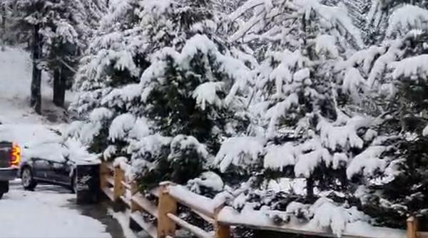 Imagini din stațiunea Straja, unde ninge și stratul de zăpadă a ajuns la 10 centimetri