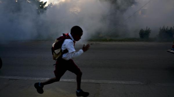 O epidemie a ucis deja zeci de copii, iar țânțarii continuă să răspândească virusurile, în Cuba. Bilanțul total al victimelor