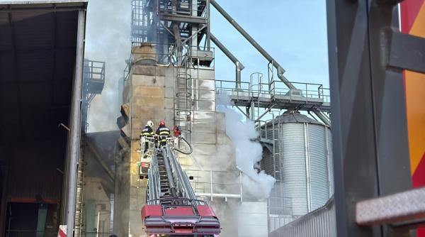 Incendiu la un uscător de floarea soarelui din Tulcea, în care erau zece tone de cereale