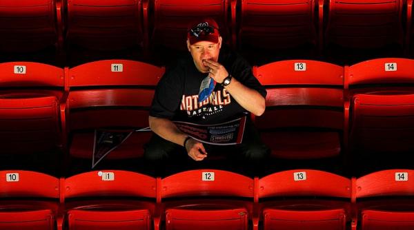 o gustare obisnuita si ieftina a ajutat la imbunatatirea memoriei si a functiilor cerebrale intr un studiu de 16 saptamani