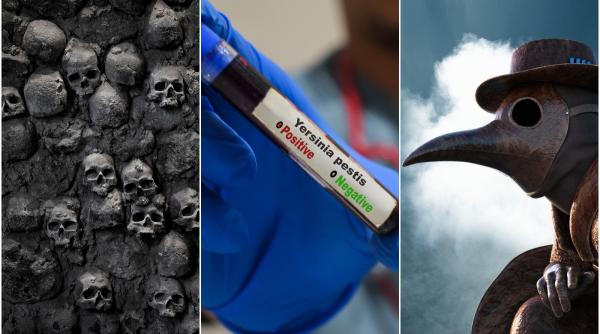 moartea neagra in europa a venit cu cenusa vulcanica a unei eruptii necunoscute cum a functionat efectul aripii de fluture