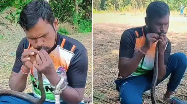 clipul care a socat internetul un indian a readus la viata un sarpe facandu i respiratie gura la gura
