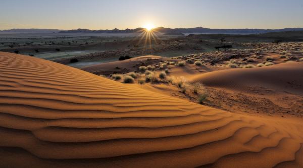 Povestea unei nave vechi de 500 de ani, plină cu aur şi fildeş, găsită în deșertul Namib. Ce au mai descoperit arheologii
