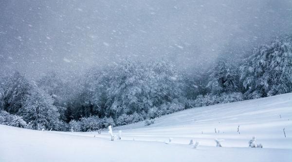 un barbat este acuzat de omor din culpa dupa ce si a lasat partenera in frig pe cel mai inalt munte din austria
